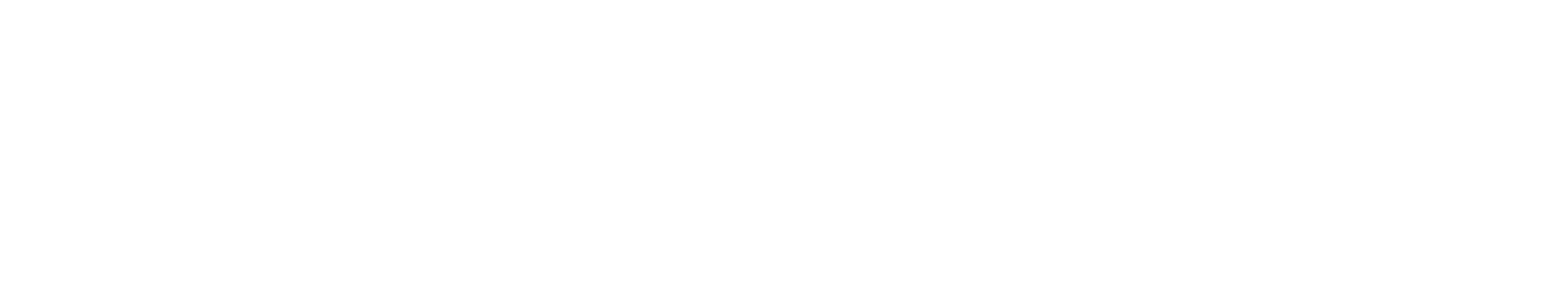 스카이즈코리아 로고